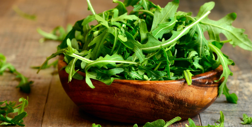 rucola