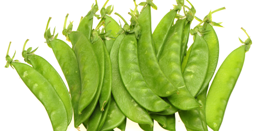 Sluimererwt / peultje