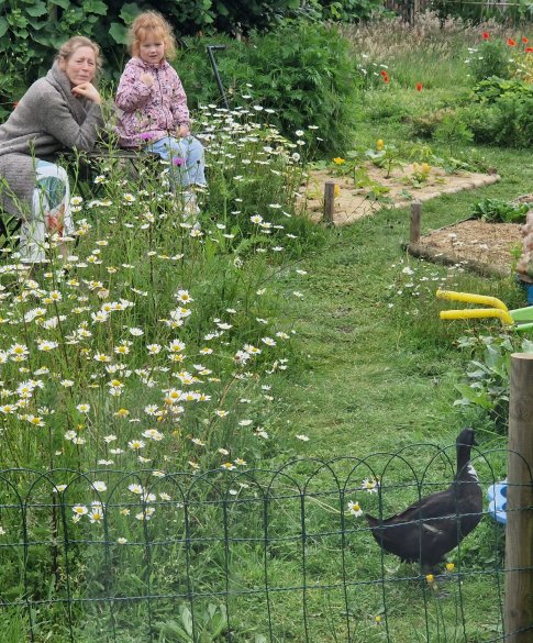 Dag van de vrijwilliger