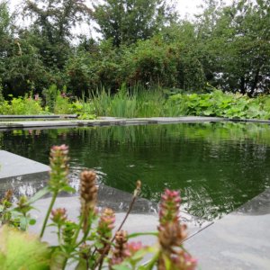 Nelle Driessen Natuurtuinen