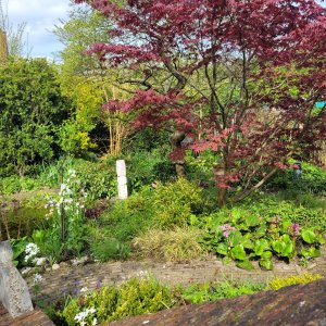 tuin van inke Mensink en Jan Weggemans