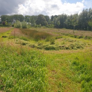 Hof ter Lieverstede_Siska Dumoulin