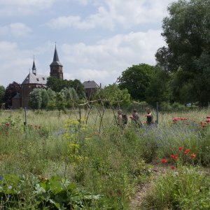 Moestuin Ooijse Velt