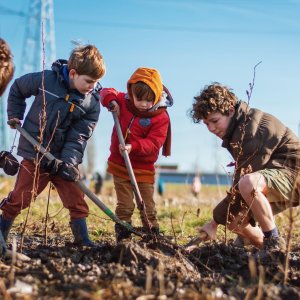 kinderen planten boom