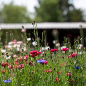 La ferme du Bois-le-Comte