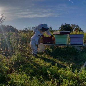 Nieuwe oude boomgaard Willem en Laura