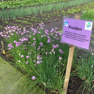 Ontmoetingstuin Servaes