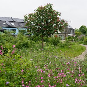 Mandetuin ecowijk Mandora