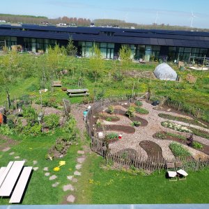 Almere De Kinsvriendelijke Eetbare Tuin Van Marten en Cathelijne3