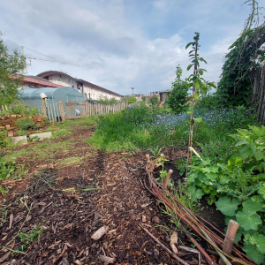 Antwerpen_Samentuin Damhof