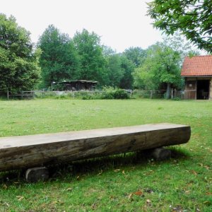 Brasschaat Werverbos