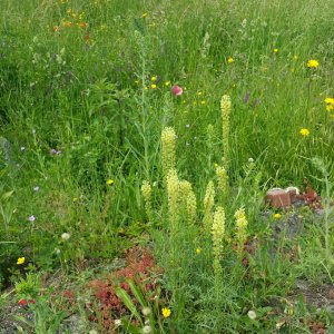 Natuurtuinen Jekerdal