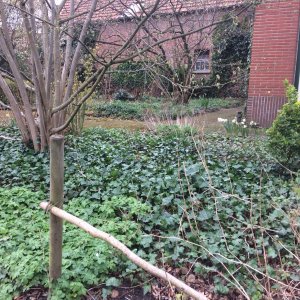 Tuin van de familie van Manen