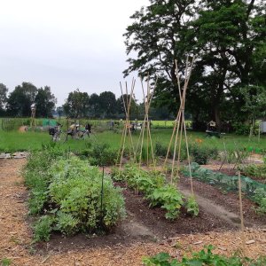 IVN-moestuin de Duiventoren