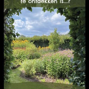 De Glind Glinstertuin 4