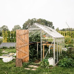 Maassluis Groentemeester 1