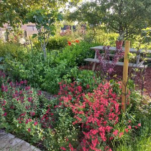 Desselgem garden of art 3