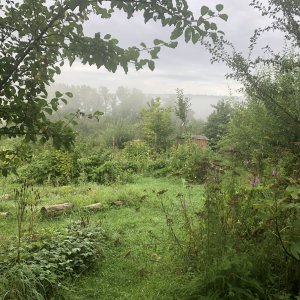 Goesting - Ellezelles 1