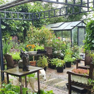 Zeppelin zin in vormgeving