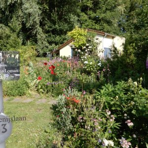 Gent Les Bégonias 2