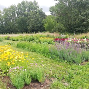 Halle-Zoersel Mollenhoeve3