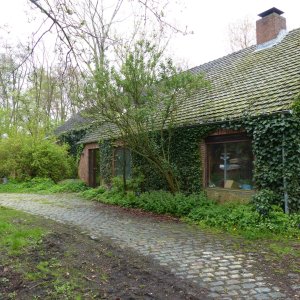 Wilhalla Zoersel Daniël Willaeys