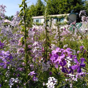 Kemzeke Pluk Je Dag 1