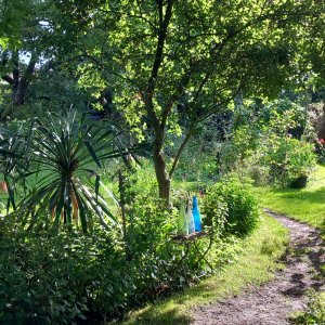 Kaulille Ecotuin van de familie Black-Huskens 1