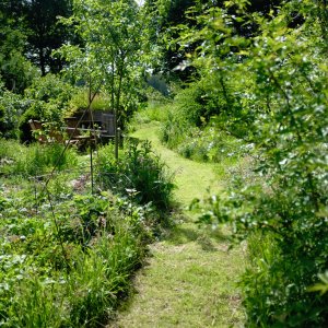 Luttenberg_Abels Bos