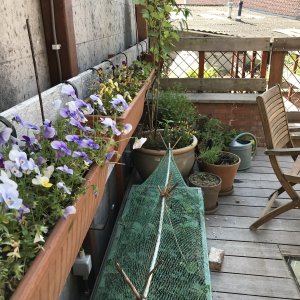 Mechelen_Nekkerspoelstraat