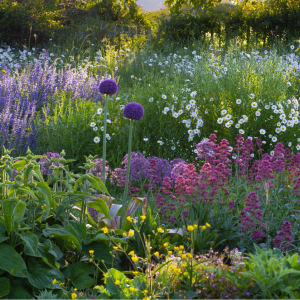 MolenbeekWersbeek Malushof 1