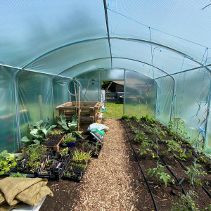 Nazareth Hanne's gezellige biomoestuin 2