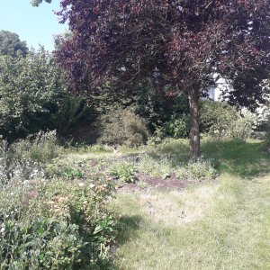 Nieuwvliet Kapelhof 1