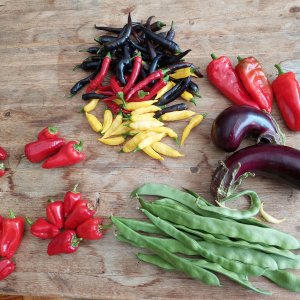 minimale input, maximale output