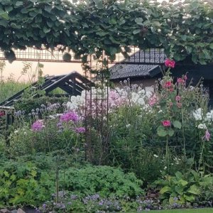 Wagenberg_Tuin van Annie Crombag