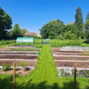 Wetteren Samentuin Veldwegel 1