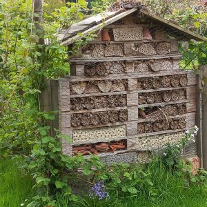 Winksele_De Groene Wijtham