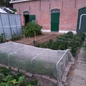 Zaamslag Hof Andieke 1