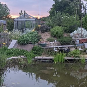 Zwijnaarde Bessentuin Oscar Hondenpension 1