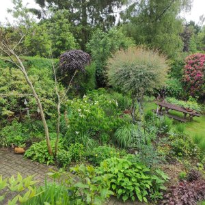 alsemberg tuin van danielle 1