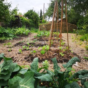 Biodiverse sier- en moestuin met verschillende biotopen