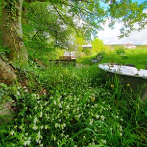 Andenne_Ruefonddebousalle_inmybackyard