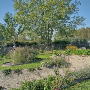 Aspelare_geraardsbergsesteenweg_ontluikendefamilietuin