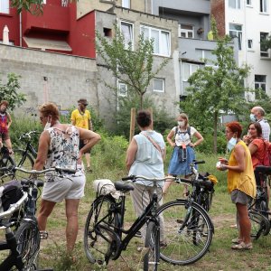 Fietstocht langs buurtboomgaarden in Brussel