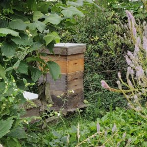 kwekerij en pluktuin van buggenum