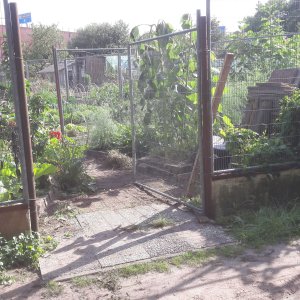 De Torteltuin_Kees Huibreghts