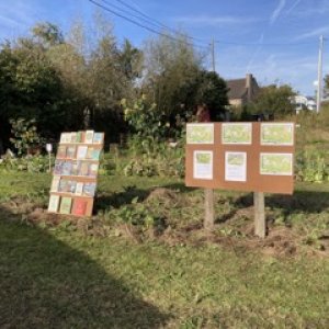 campagne de bourangt