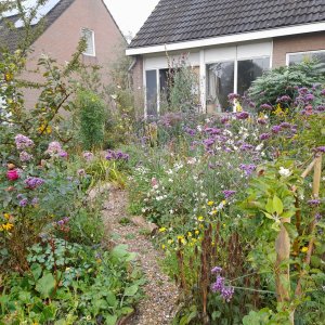 Dokkum_experimenteertuin_Bianca in 't groen