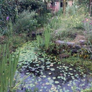 Driebergen, natuurverkenner