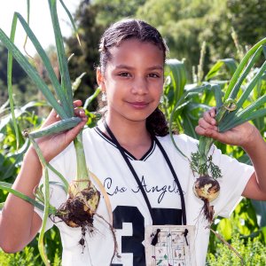 Coverfoto Handboek Schooltuinen
